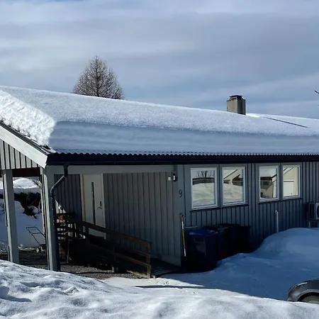 Nyoppusset Hus I Sentrum * Eina