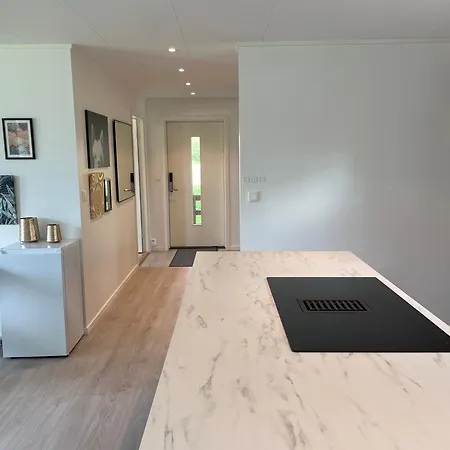 Nyoppusset Hus I Sentrum Holiday home *